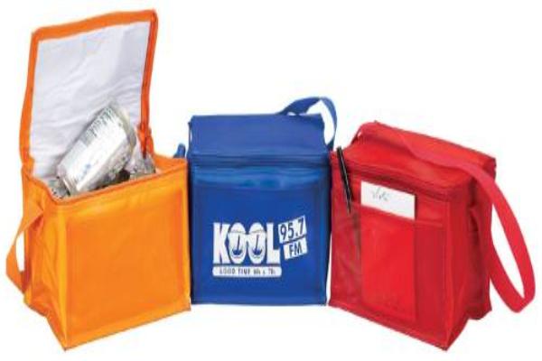 Stadium 6 Pack Translucent Cooler